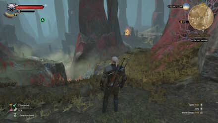 Witcher 3 Red World Location 2