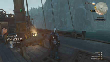Witcher 3 Quest Veni Vidi Vigo