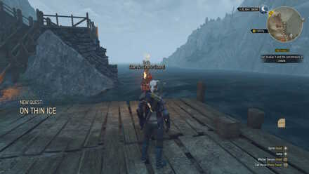 Witcher 3 Quest On Thin Ice