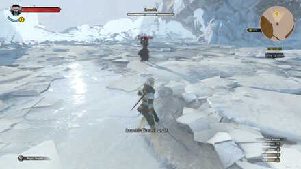 Witcher 3 Caranthir Phase 1