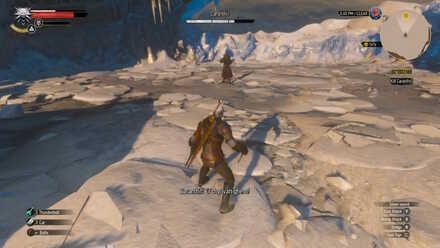 Witcher 3 Caranthir Phase 2
