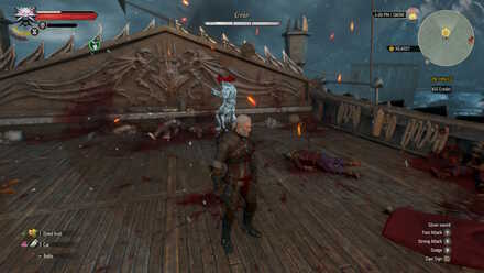 Witcher 3 Eredin Phase 1