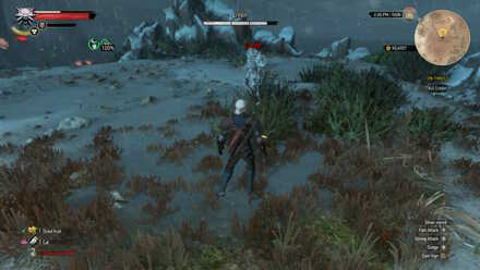 Witcher 3 Eredin Phase 2