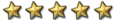 5 stars.png