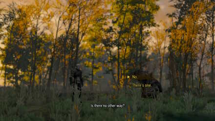 Witcher 3 Werewolf Epilogue