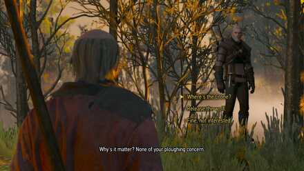 Witcher 3 Peasants Epilogue