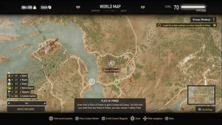 Place of Power - White Orchard 1.jpg