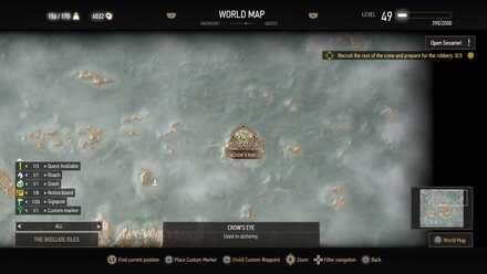 Places of Power - Skellige 1.jpg