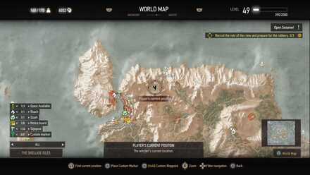 Places of Power - Skellige 2.jpg