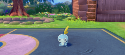 Sobble pick.png