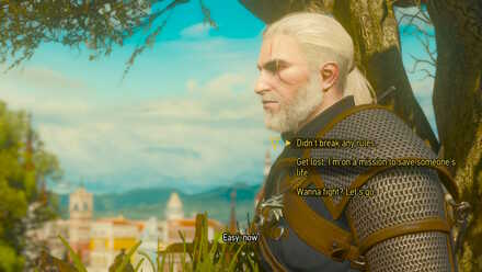 Witcher 3 Choice Courtiers