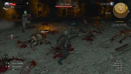 Witcher 3 Tesham Mutna Combat