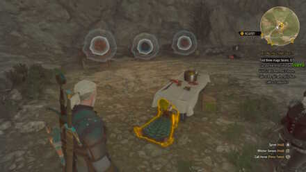 Witcher 3 Optional Bears