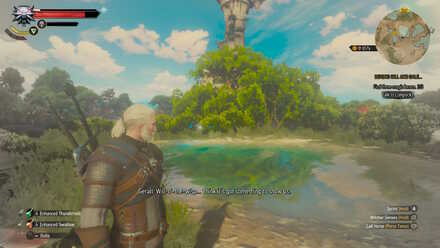 Witcher 3 Location Wisp 1