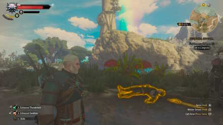 Witcher 3 Location Armor