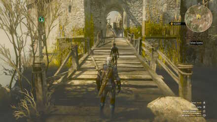 Witcher 3 Location Wisp 2