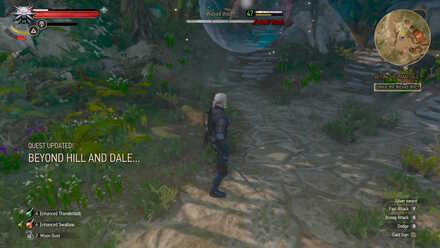 Witcher 3 Boss Wicked Witch