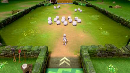 Grass Gym Challenge 2.jpg