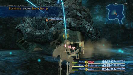 Rocktoise immobilized FF12 Elite Marks