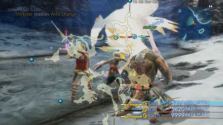 Trickster Wild Charge FF12 Elite Marks