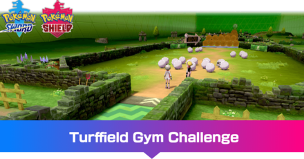Turffield Gym Challenge 2.png