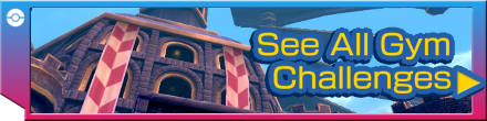 Gym Challenge Category Banner.png