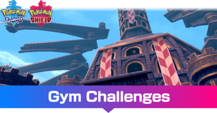 Gym Challenge Banner.png