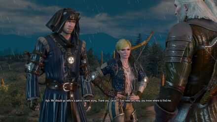 The Witcher 2 Ending Choices and Consequences