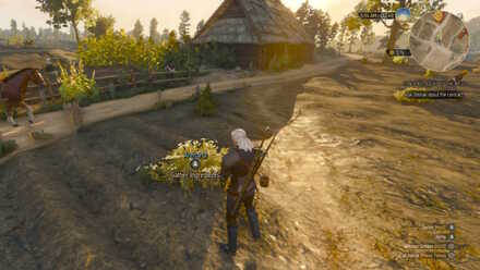 Witcher 3 Location Arenaria