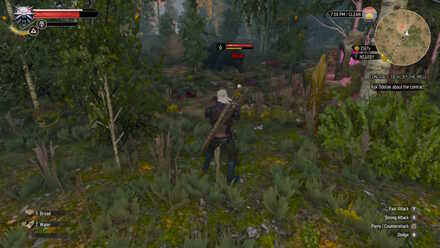 Witcher 3 Location Bear 1