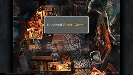 Silver Gloves.jpg