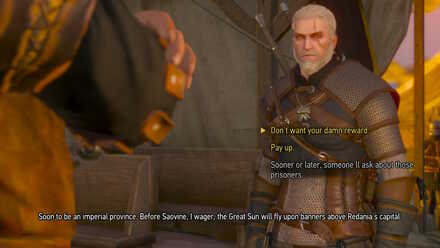 Witcher 3 Choice Reward