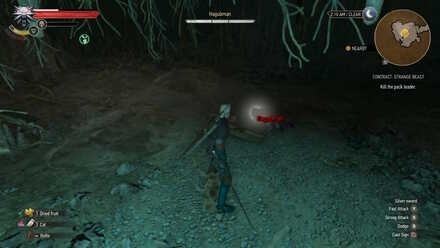 Witcher 3 Combat Hagubman