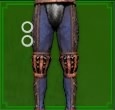 Best Weapon and Armor - Feline Trousers.jpg