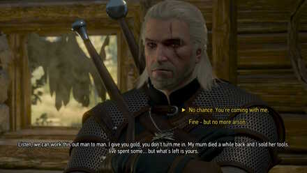 Witcher 3 Choice Napp 1