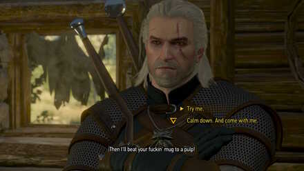 Witcher 3 Choice Napp 2