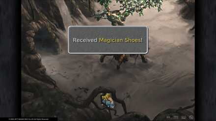 Magician Shoes.jpg
