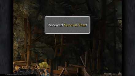 Survival Vest.jpg