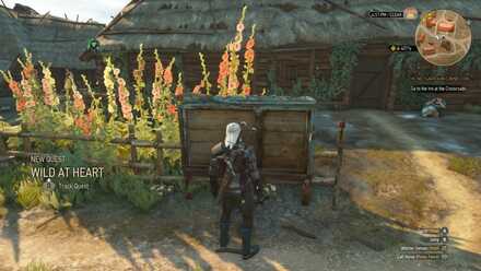 The Witcher 2 Mysterious Merchant, If he isn't in your game…