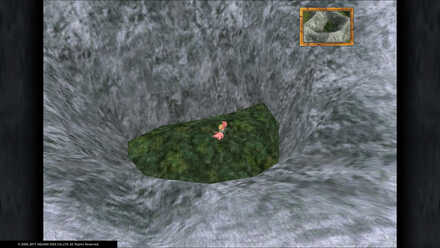 FF9 Forbidden Forest