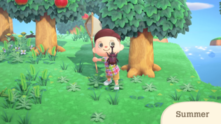 Nintendo Direct - Summer