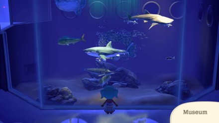 Museum Interior (Fish)