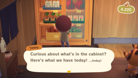 Nintendo Direct - Cabinet Items