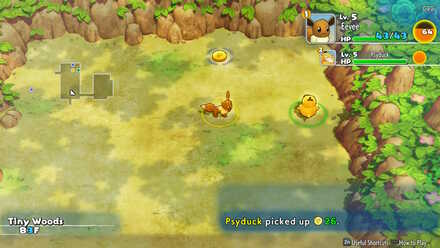 Tiny Woods Pokemon Mystery Dungeon: Rescue Team DX