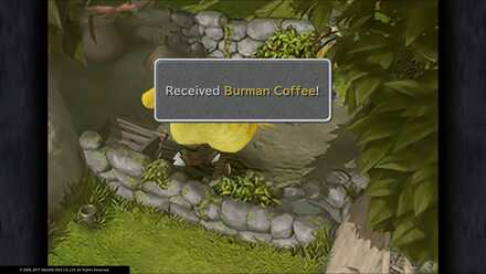 Burman Coffee.jpg