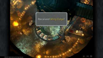 Wing Edge.jpg