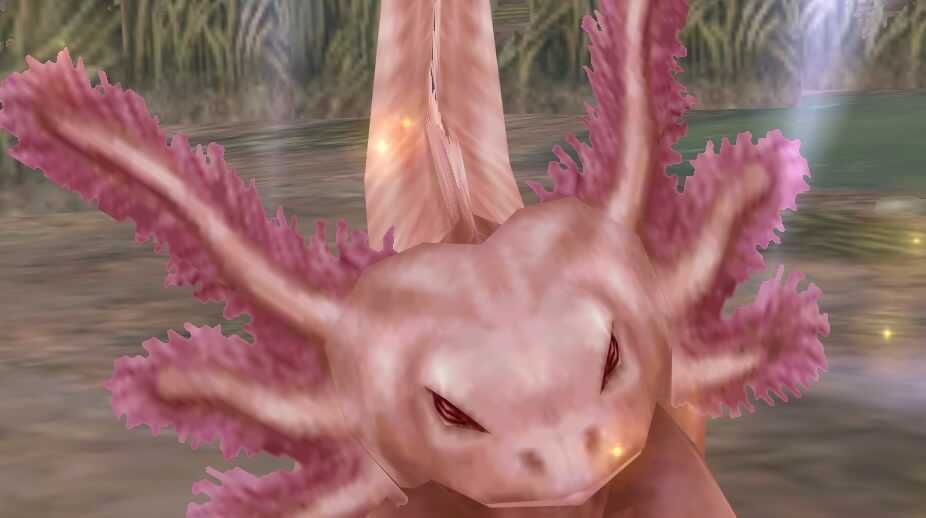 Axolotl Image