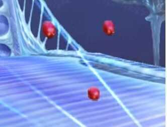 Mover (Middle) Image