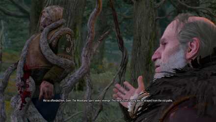 In the Heart of the Woods.jpg