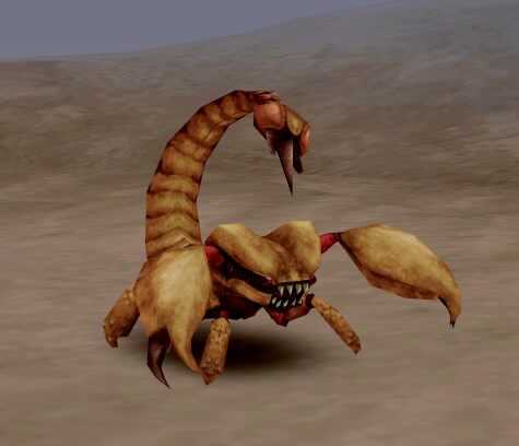Sand Scorpion Image